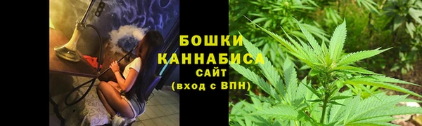 стафф Медногорск