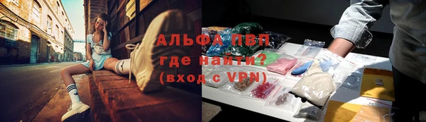 сатива Мегион