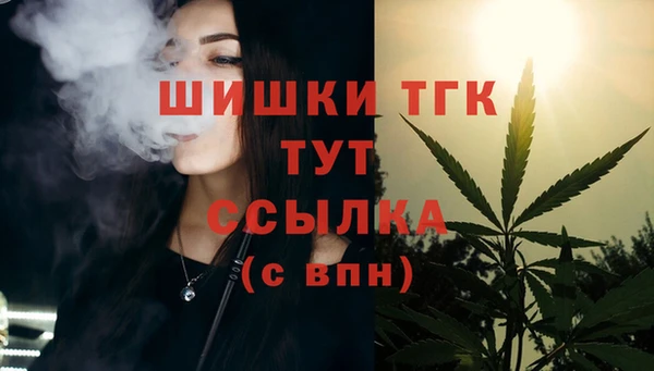 стафф Медногорск