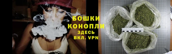 сатива Мегион