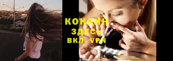 индика Орск