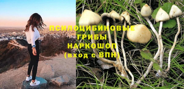 сатива Мегион