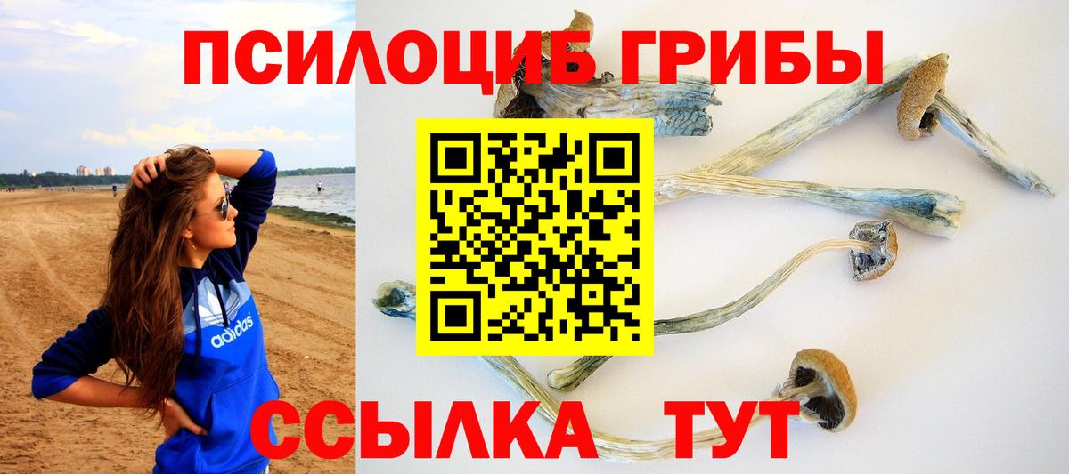 Кимры  Псилоцибиновые грибы GOLDEN TEACHER  Вход с VPN 