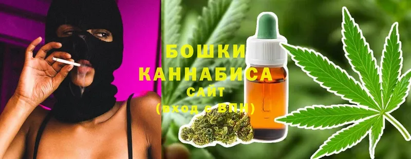 Бошки марихуана Amnesia  Кимры 